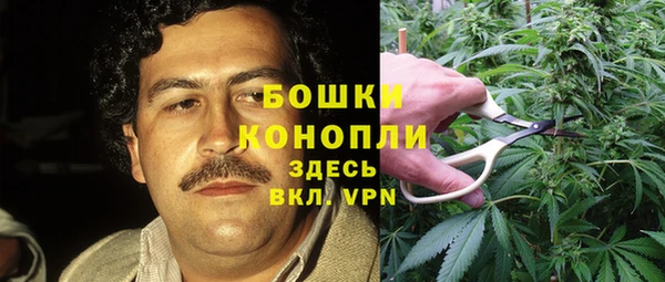 тгк Магадан