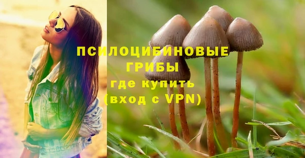 тгк Магадан
