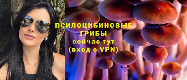 тгк Магадан