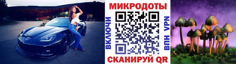 Псилоцибиновые грибы Cubensis  купить наркотик  Серафимович 